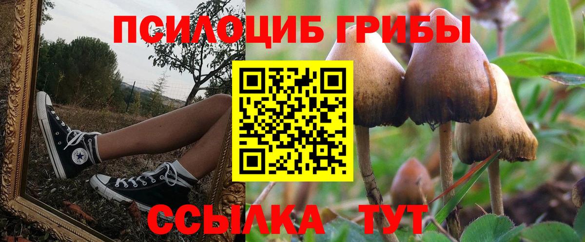 Псилоцибиновые грибы Psilocybe  Псилоцибиновые грибы мухоморы  Вход с VPN  Ейск 