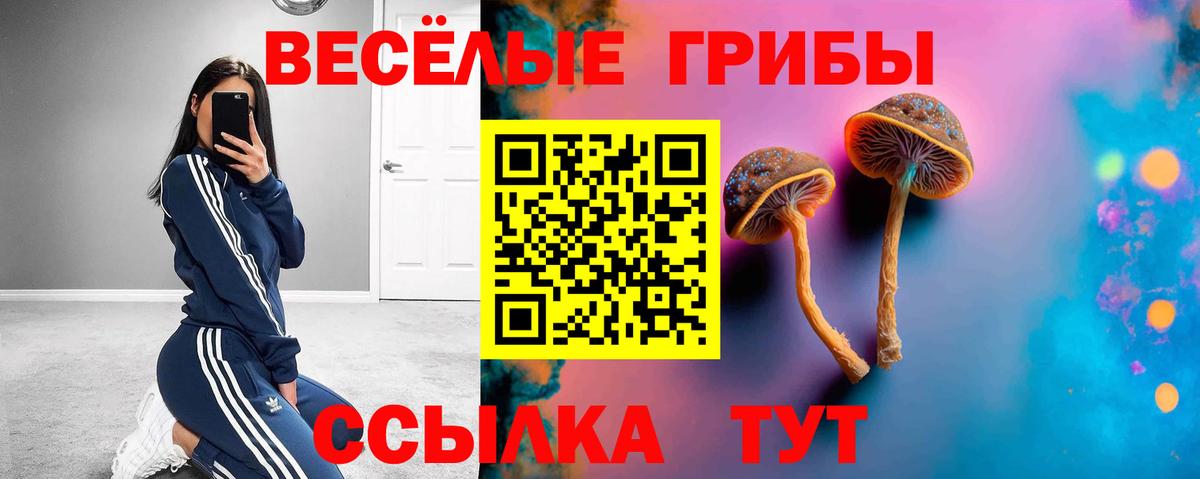 Галлюциногенные грибы прущие грибы Ейск