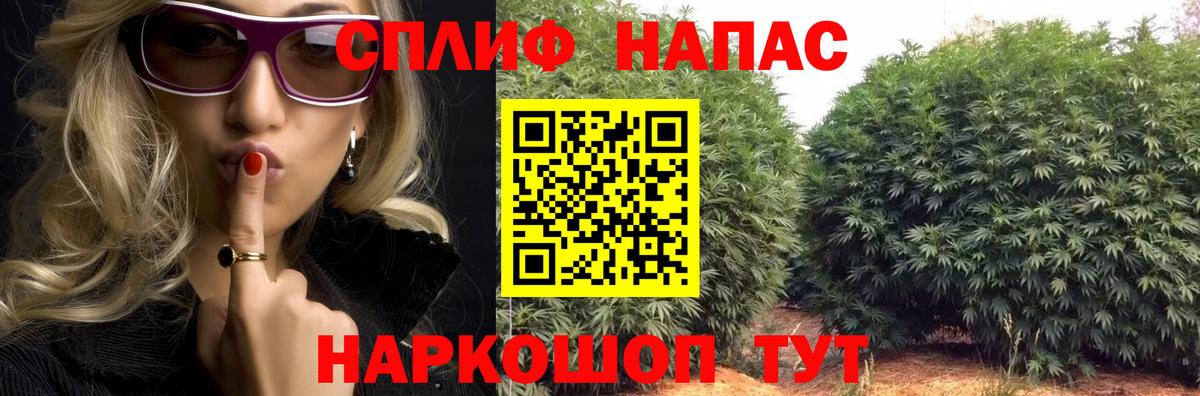 Канабис Amnesia Ейск